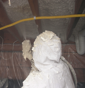 Madison WI crawl space insulation